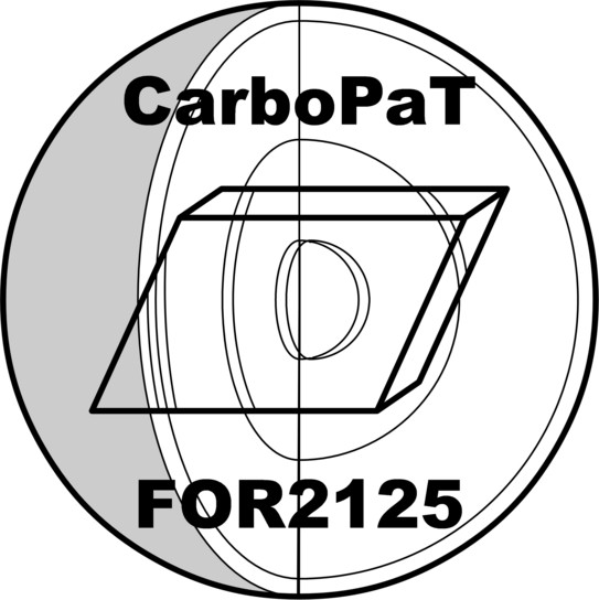 Logo FOR2125