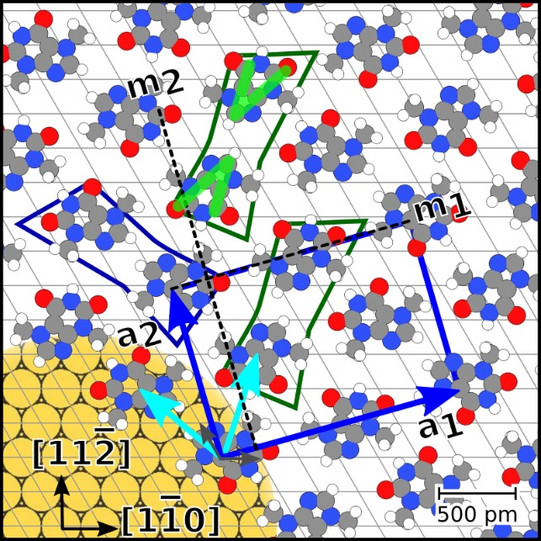 Ein visualisiertes Strukturmodell über die Anordnung von Theobromin-Molekülen auf einer Gold-Oberfläche.