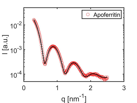 SAXS Apoferritin